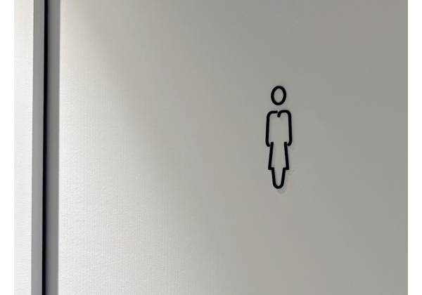 DLA PIPER, Luxembourg, signalétique toilette, dame, trolase, laser cutting sp500