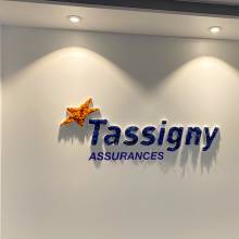 logo 3D, plexiglas, mousse, fraisage