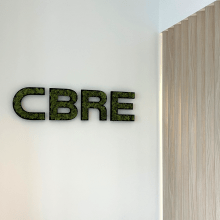 cbre, fraisage, mdf, noir, mousse stabilisée, logo végétal, drosbach