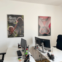 ikano, digitalprint, carton nid 'abeille, uv print, luxembourg