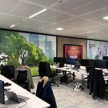 ricoh, luxembourg, wall decor, print digital, king size, 3M, canon colorado